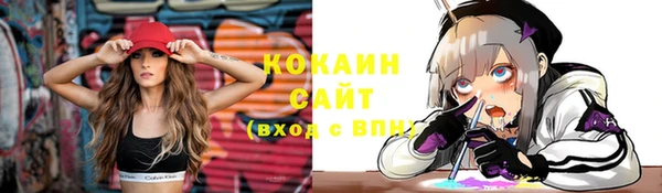прущие грибы Снежногорск