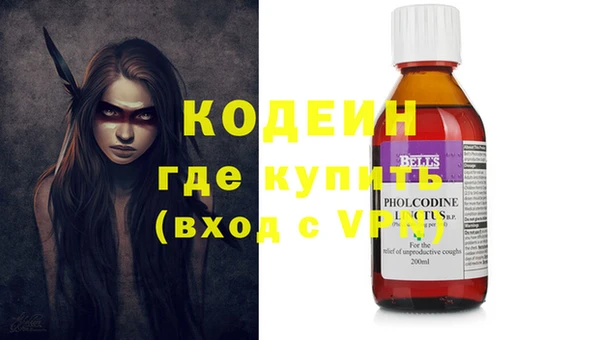 прущие грибы Снежногорск