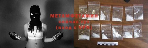 прущие грибы Снежногорск