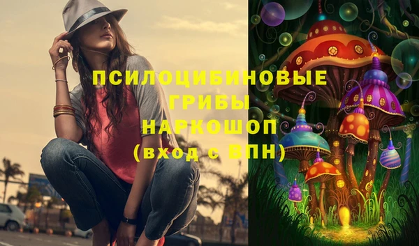 хмурый Слюдянка