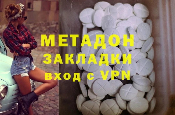 прущие грибы Снежногорск