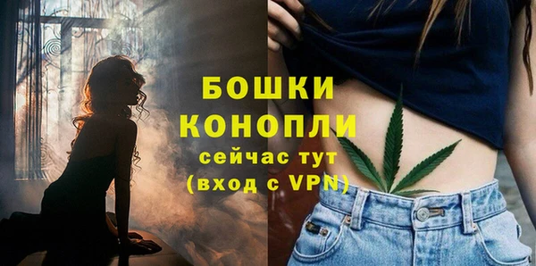 прущие грибы Снежногорск