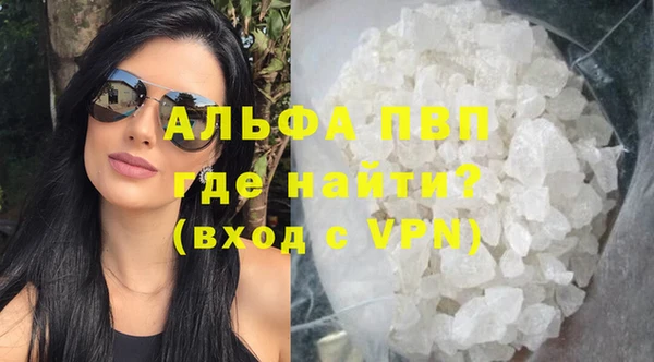 прущие грибы Снежногорск