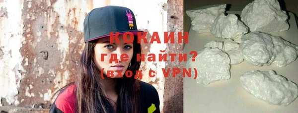 прущие грибы Снежногорск
