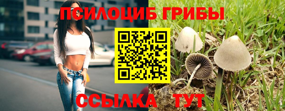 Галлюциногенные грибы MAGIC MUSHROOMS  Вход с VPN  Сочи 